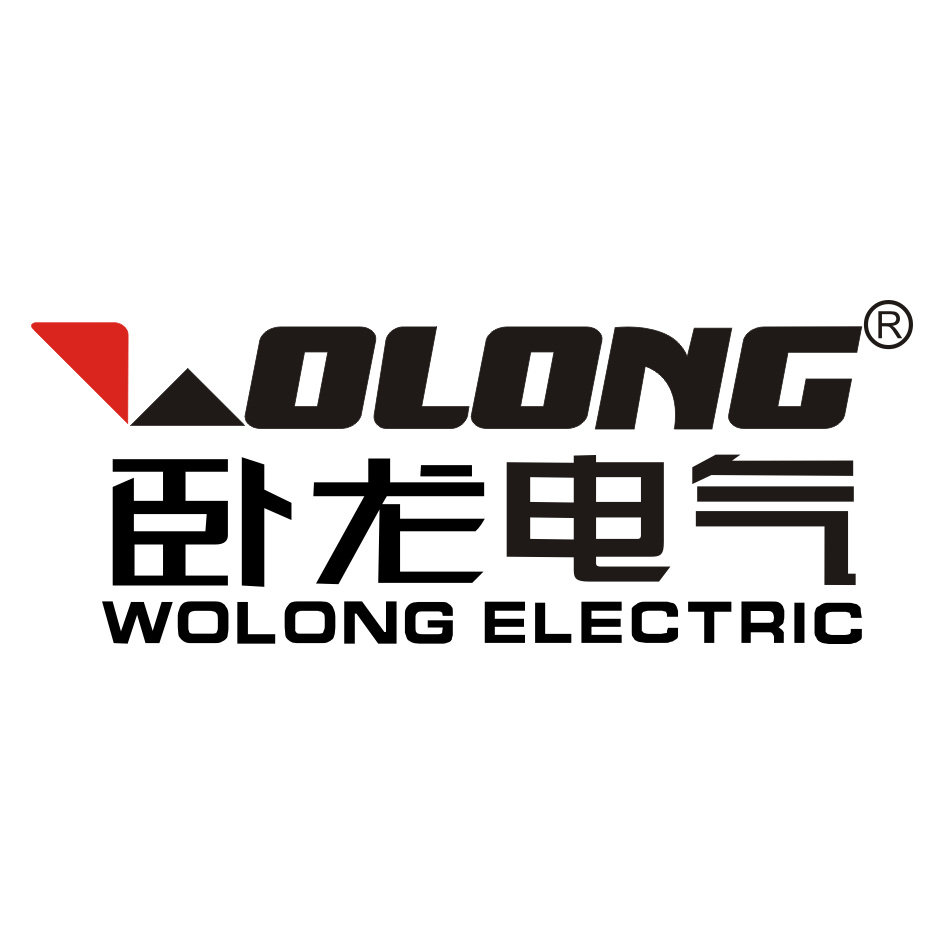 2024年度电机行业榜单揭晓！十大公认电机品牌排行榜 商业资讯 第4张