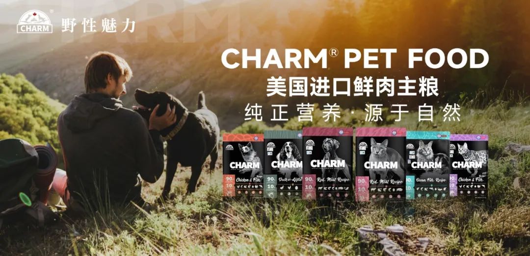 对话宠业家：连续三年取得翻倍增长，CHARM野性魅力在中国市场做对了什么？