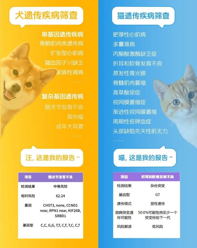 毛发变钻石？华大给宠物界的科技浪漫|基因检测|生命健康与情感联结 业界 第2张