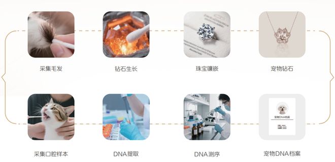 毛发变钻石？华大给宠物界的科技浪漫|基因检测|生命健康与情感联结 业界 第3张