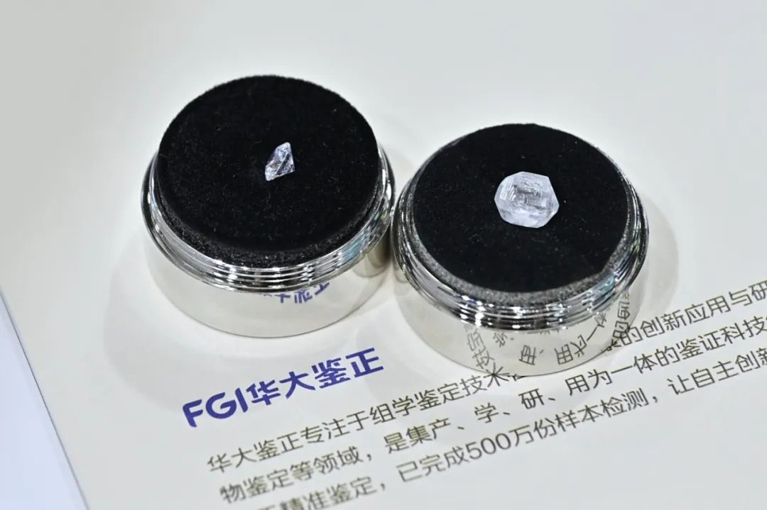 基因检测助力宠物健康 宠物毛发定制钻石联结宠物生命情感 商业资讯 第2张