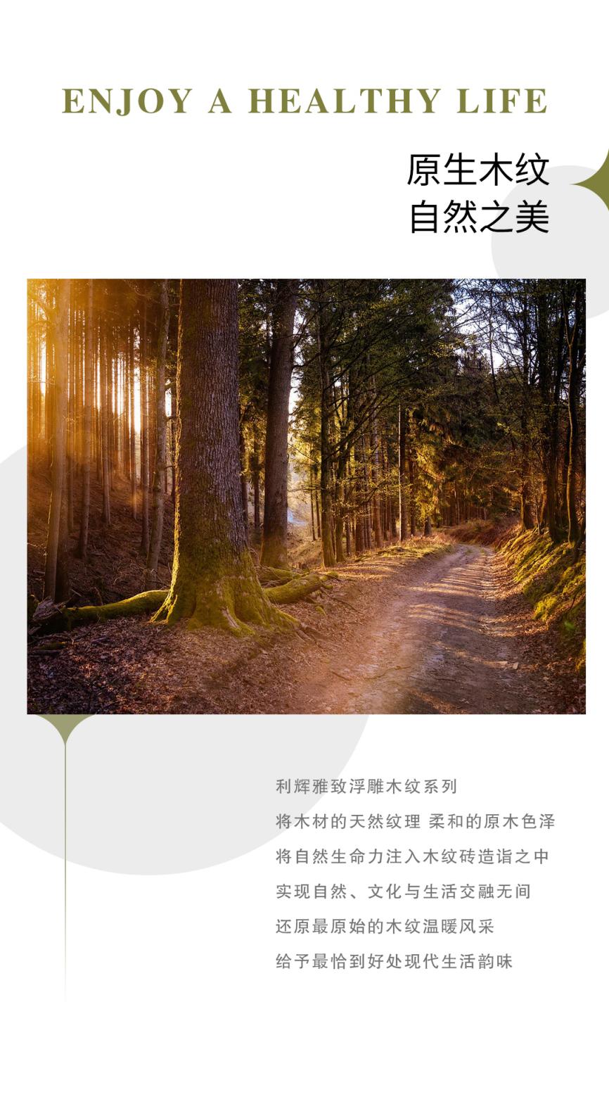 广东利辉陶瓷 陶瓷一线品牌 瓷砖十大品牌 ▏雅致浮雕木纹系列 把森林的年轮，铺成家的底色 商业资讯 第2张