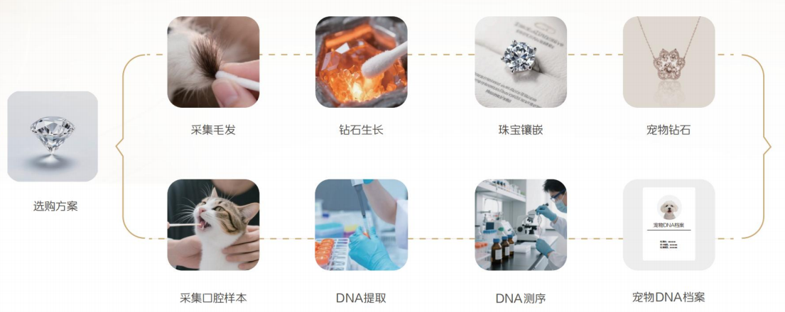 华大鉴正发布生命纪念钻石定制融合基因检测技术附带专属DNA认证档案