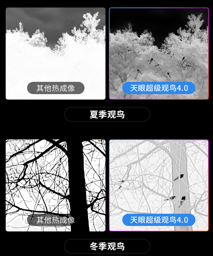 热成像仪怎么选不踩坑？国产标杆手把手教你精准避坑  商业资讯  第2张