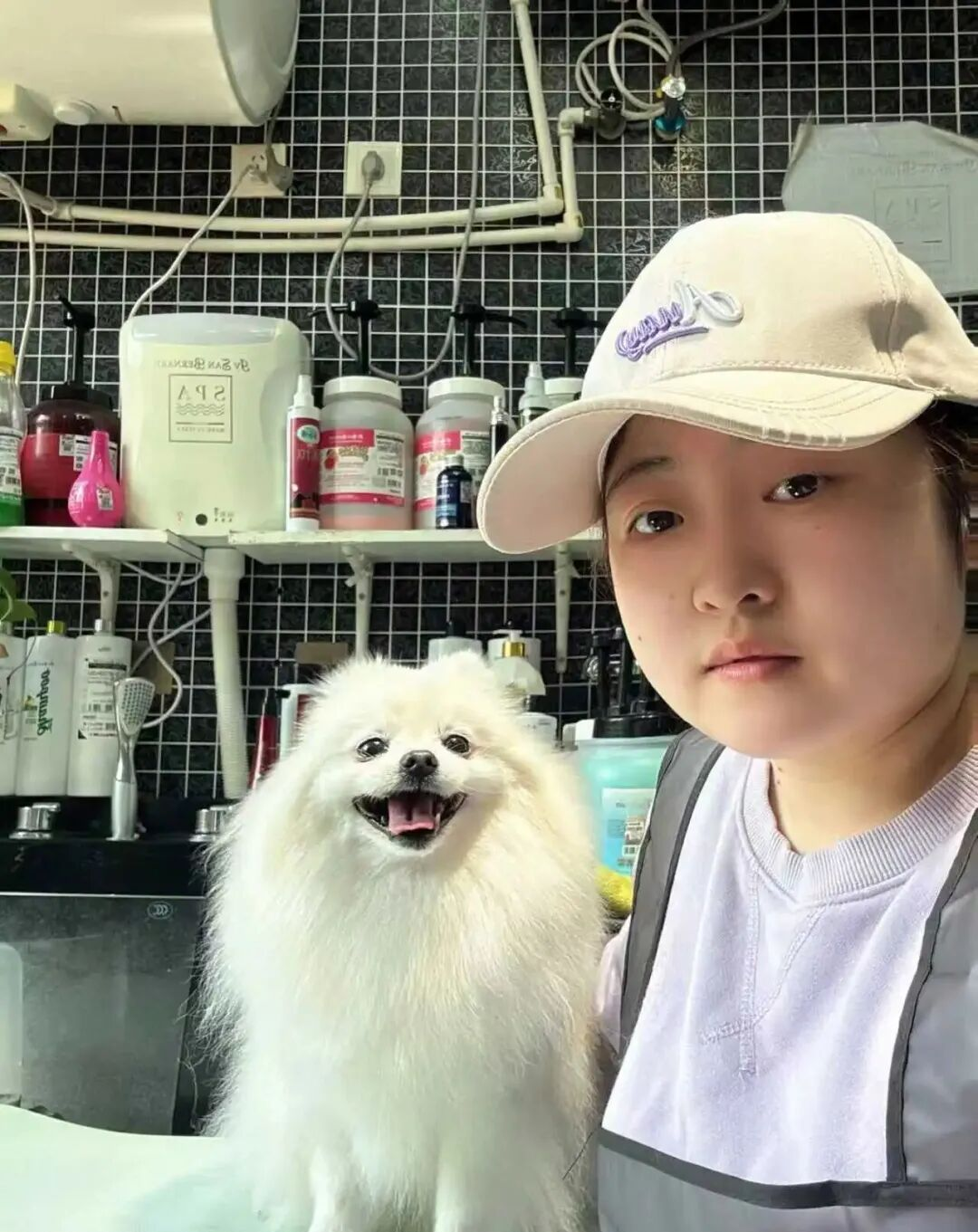 【伊珊娜特别企划】宠物店“黑”话 5+1 之 不吐不快的行业心里话  商业资讯  第2张