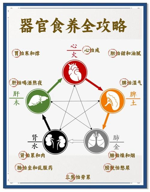 《中华好物源选》：以纪实溯源重构食养传播新标准，揭开食养信任新起点 业界 第2张