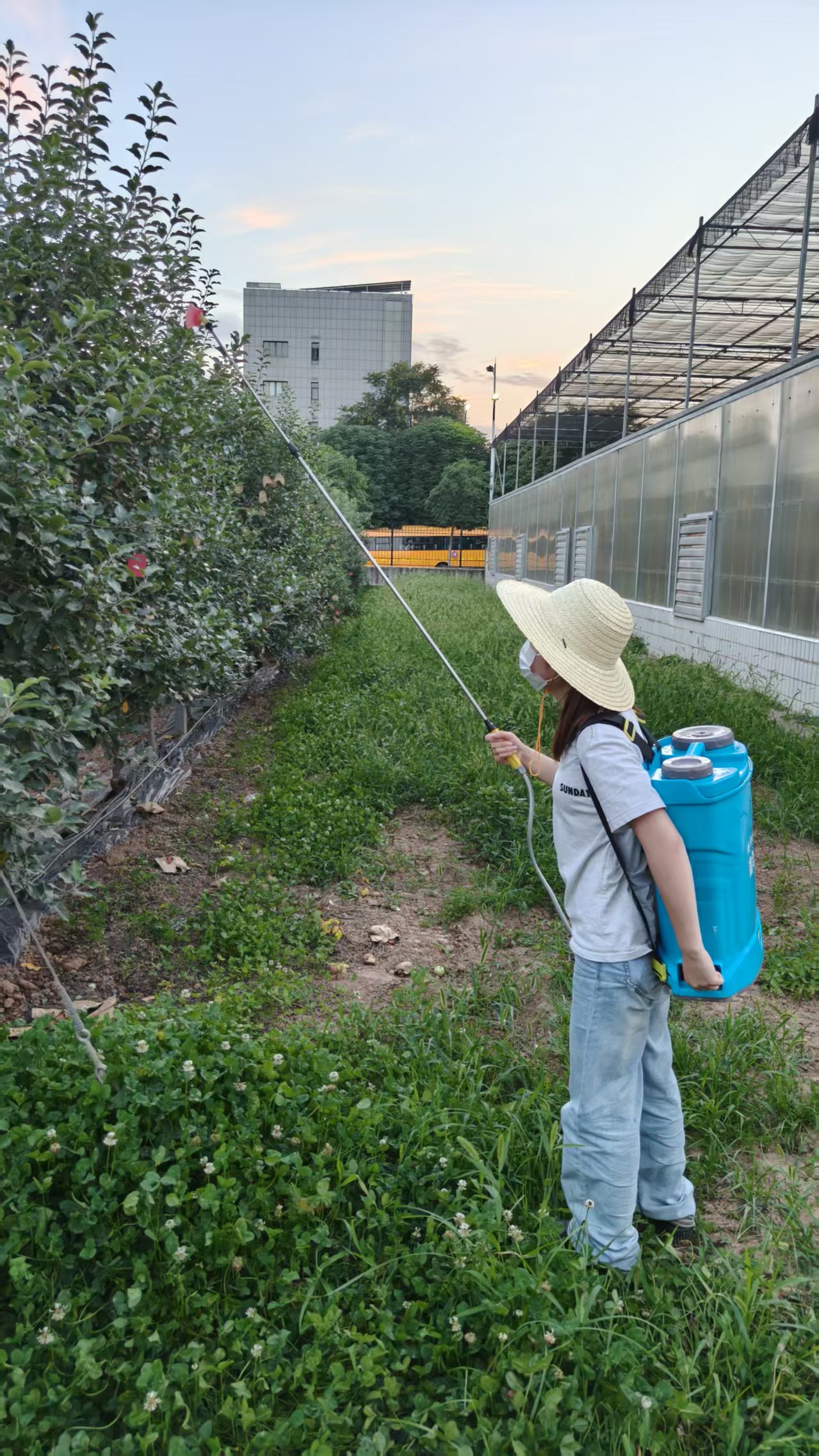 攻克瑞雪苹果品质难题 “瑞果惠农”科技赋能果农增收 业界 第3张