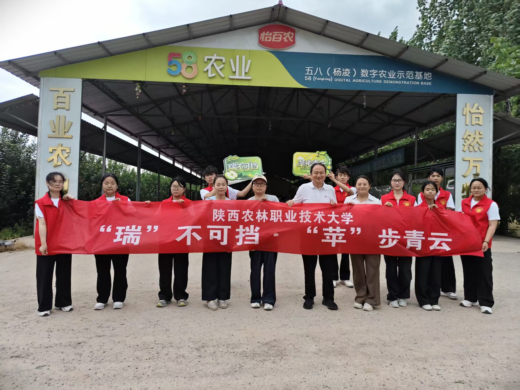攻克瑞雪苹果品质难题 “瑞果惠农”科技赋能果农增收 业界 第4张