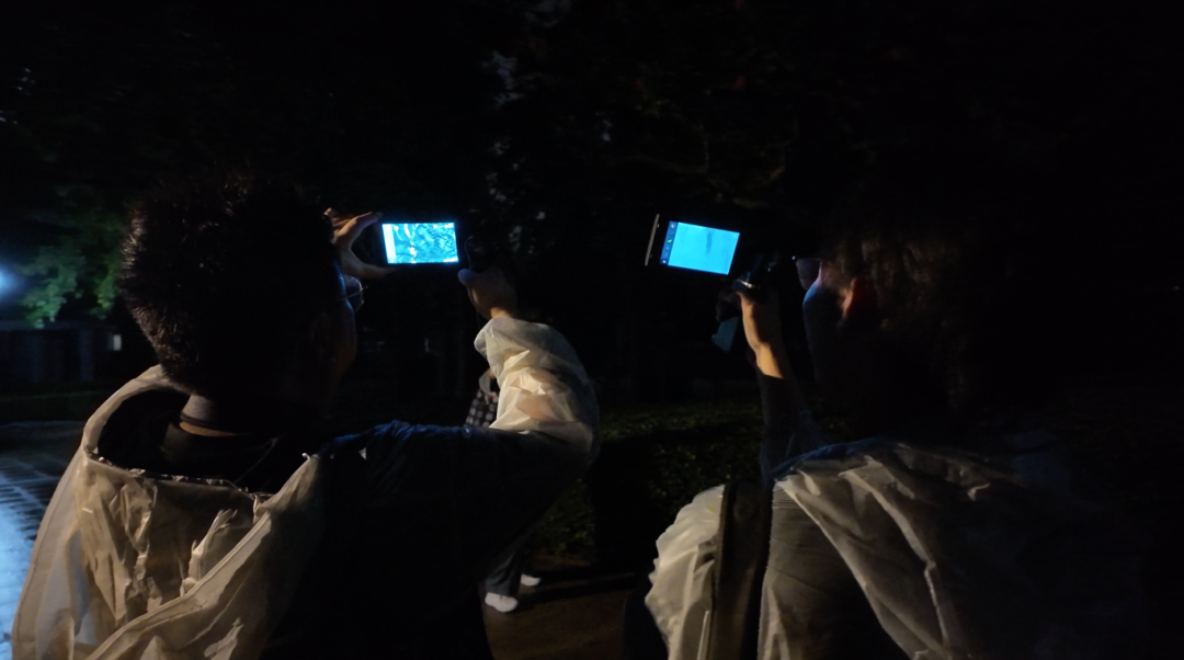 雨夜公园实测：不开手电，热成像仪能看到树上的鸟吗？  商业资讯  第3张